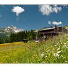 Frühling in Kärnten