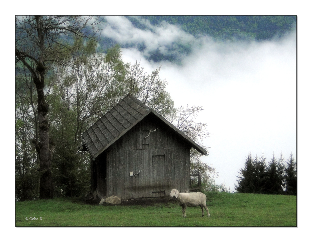 Frühling in Kärnten