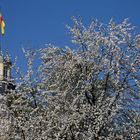 Frühling in Karlsruhe