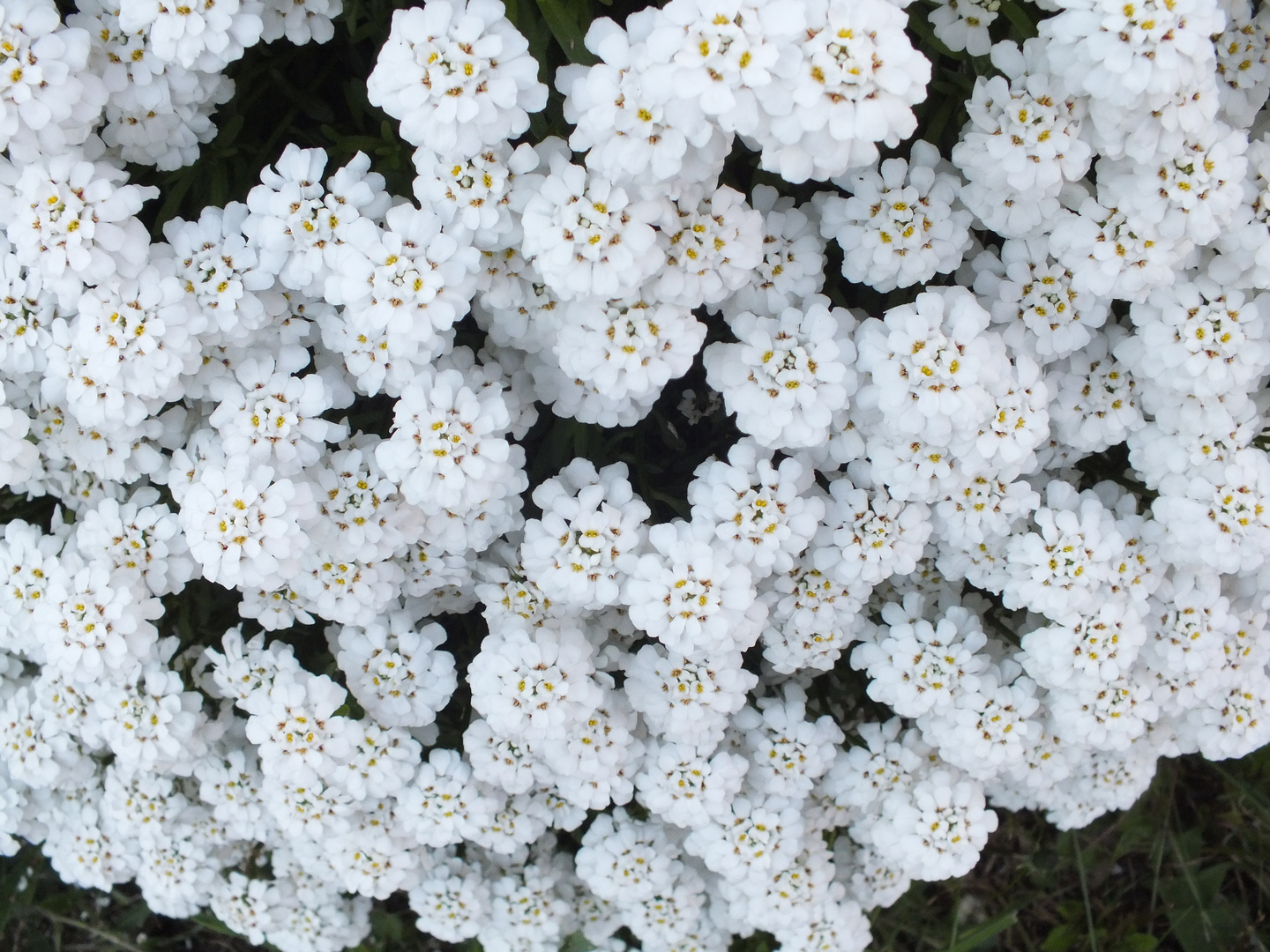 Frühling in Kaufbeuren