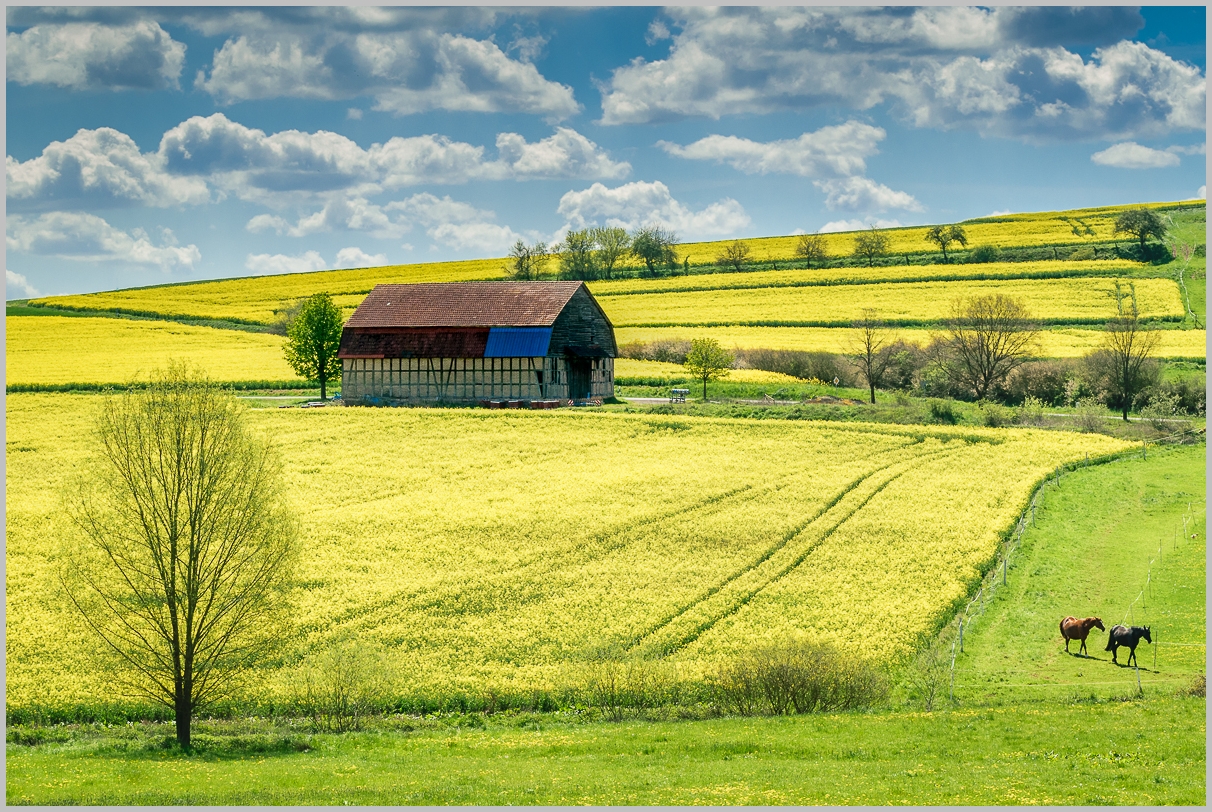 Frühling in Kehna