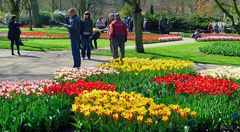 Frühling in Keukenhof 10