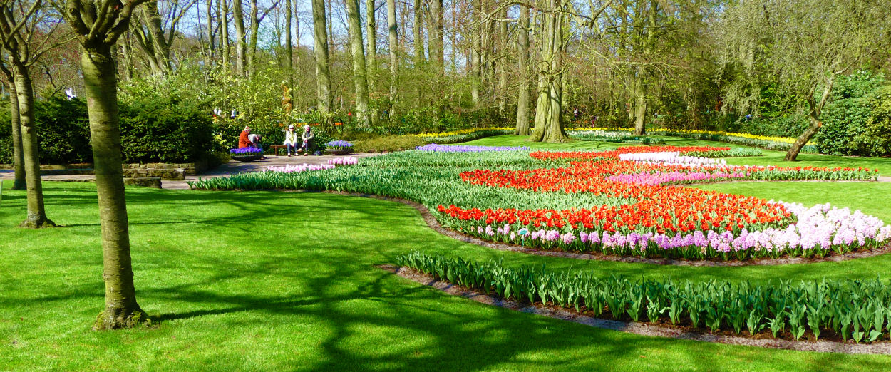 Frühling in Keukenhof 11