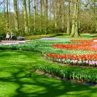 Frühling in Keukenhof 11