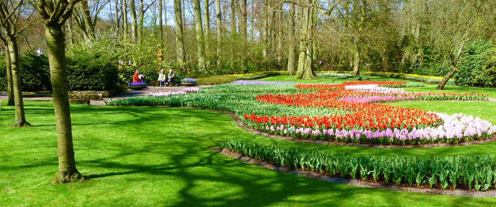 Frühling in Keukenhof 11