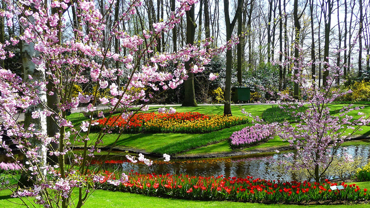 Frühling in Keukenhof 2