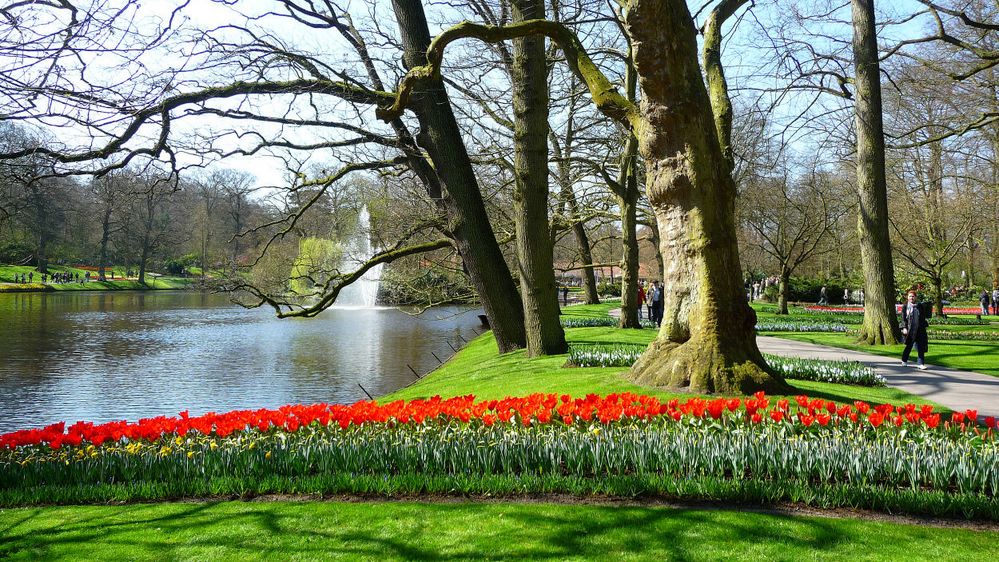 Frühling in Keukenhof 3