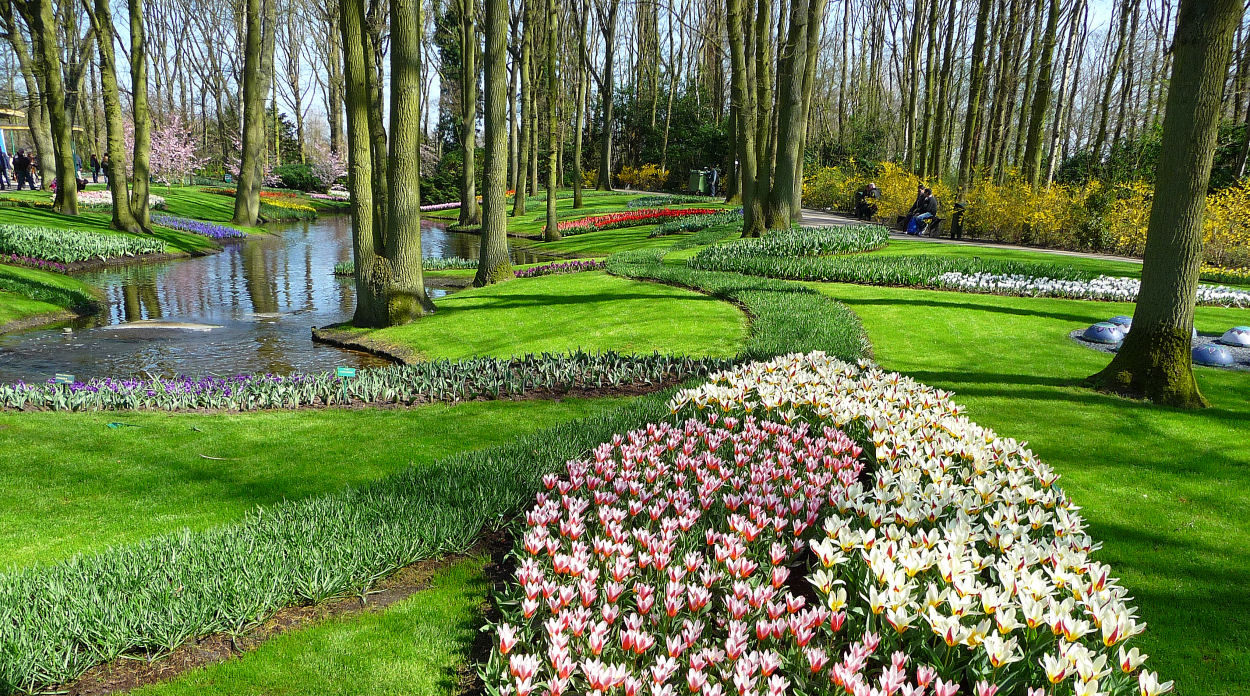 Frühling in Keukenhof 5