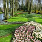 Frühling in Keukenhof 5