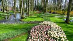 Frühling in Keukenhof 5