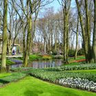 Frühling in Keukenhof 6