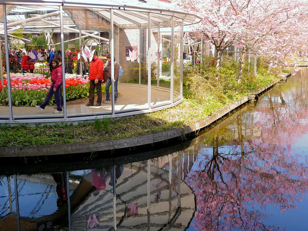 Frühling in Keukenhof 7