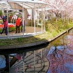 Frühling in Keukenhof 7