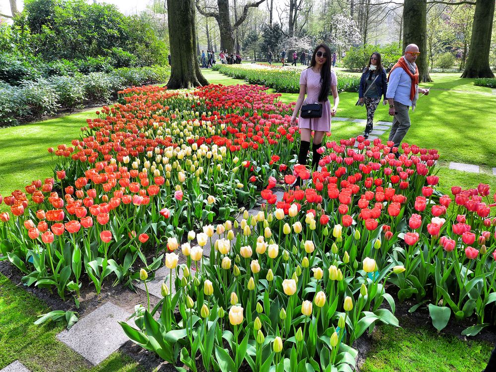 Frühling in Keukenhof