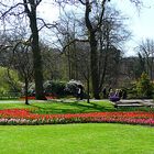 Frühling in Keukenhof 9