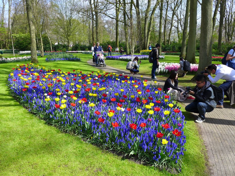 Frühling in Keukenhof