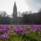 Frühling in Kiel - Hiroshima Park und Rathaus