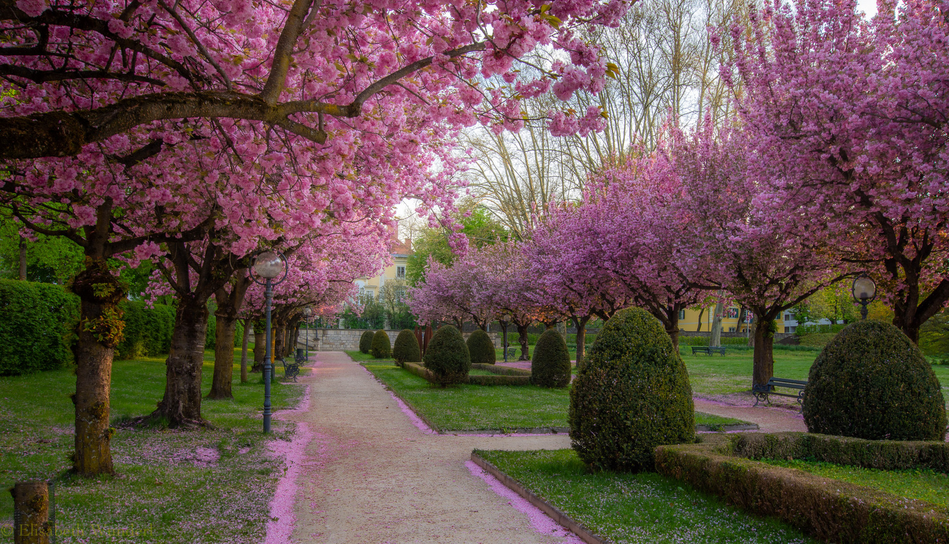 Frühling in Klagenfurt