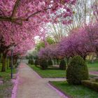 Frühling in Klagenfurt