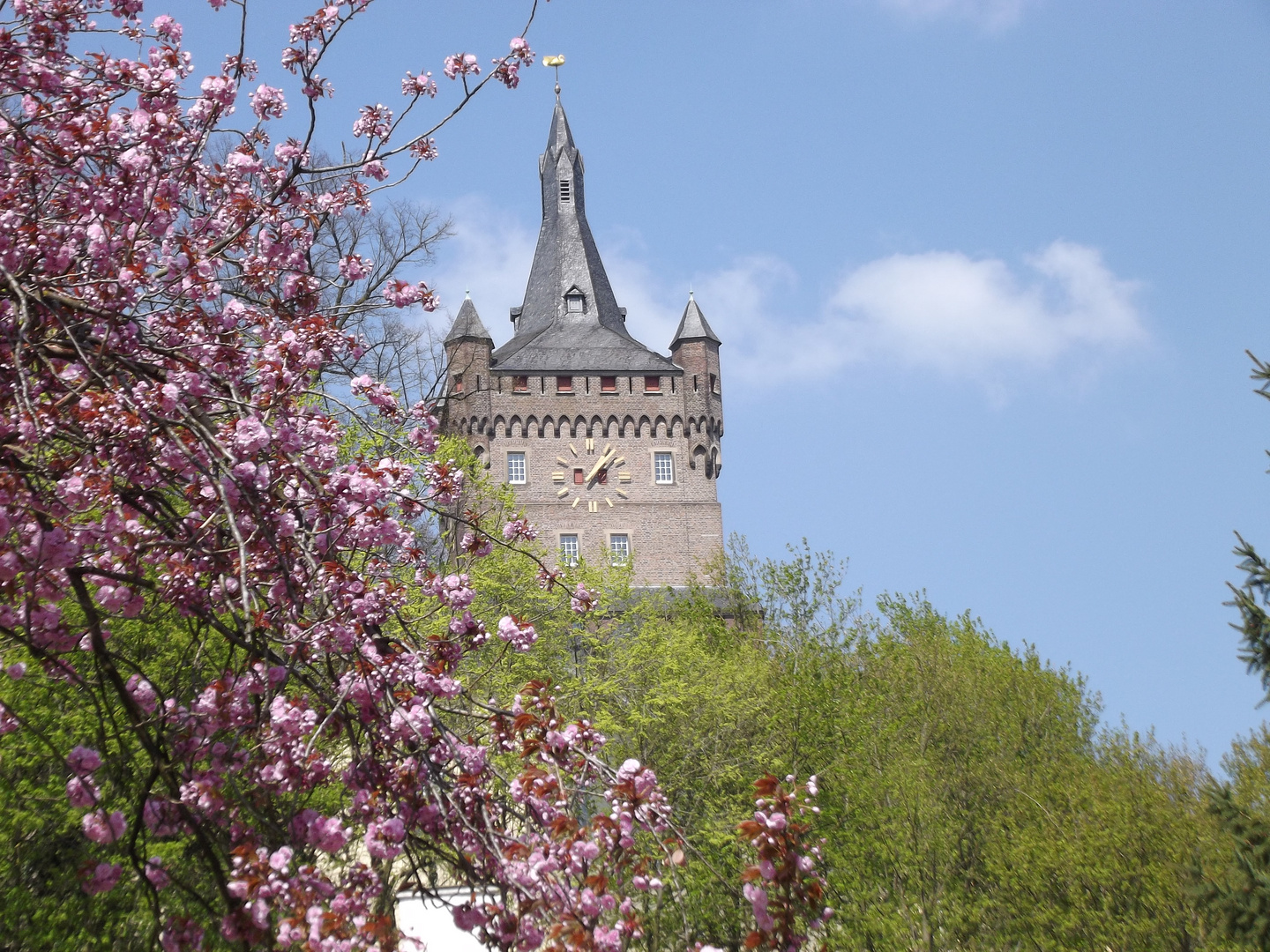 Frühling in Kleve!