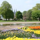 Frühling in Köln