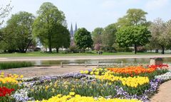 Frühling in Köln