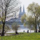 Frühling in Köln