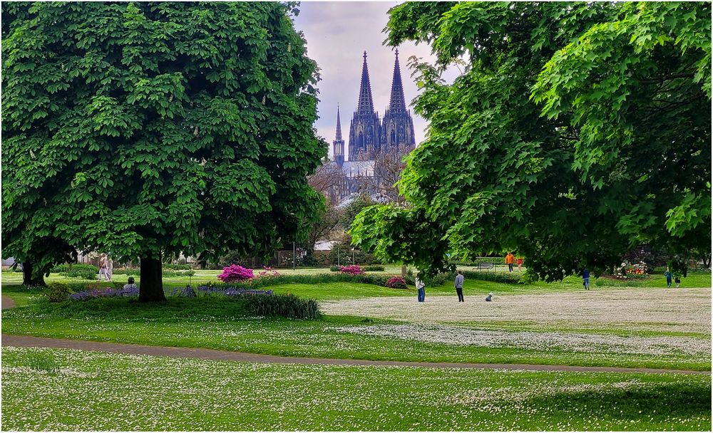 Frühling in Köln