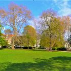 Frühling in Köln