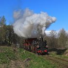 Frühling in Koszalin 01