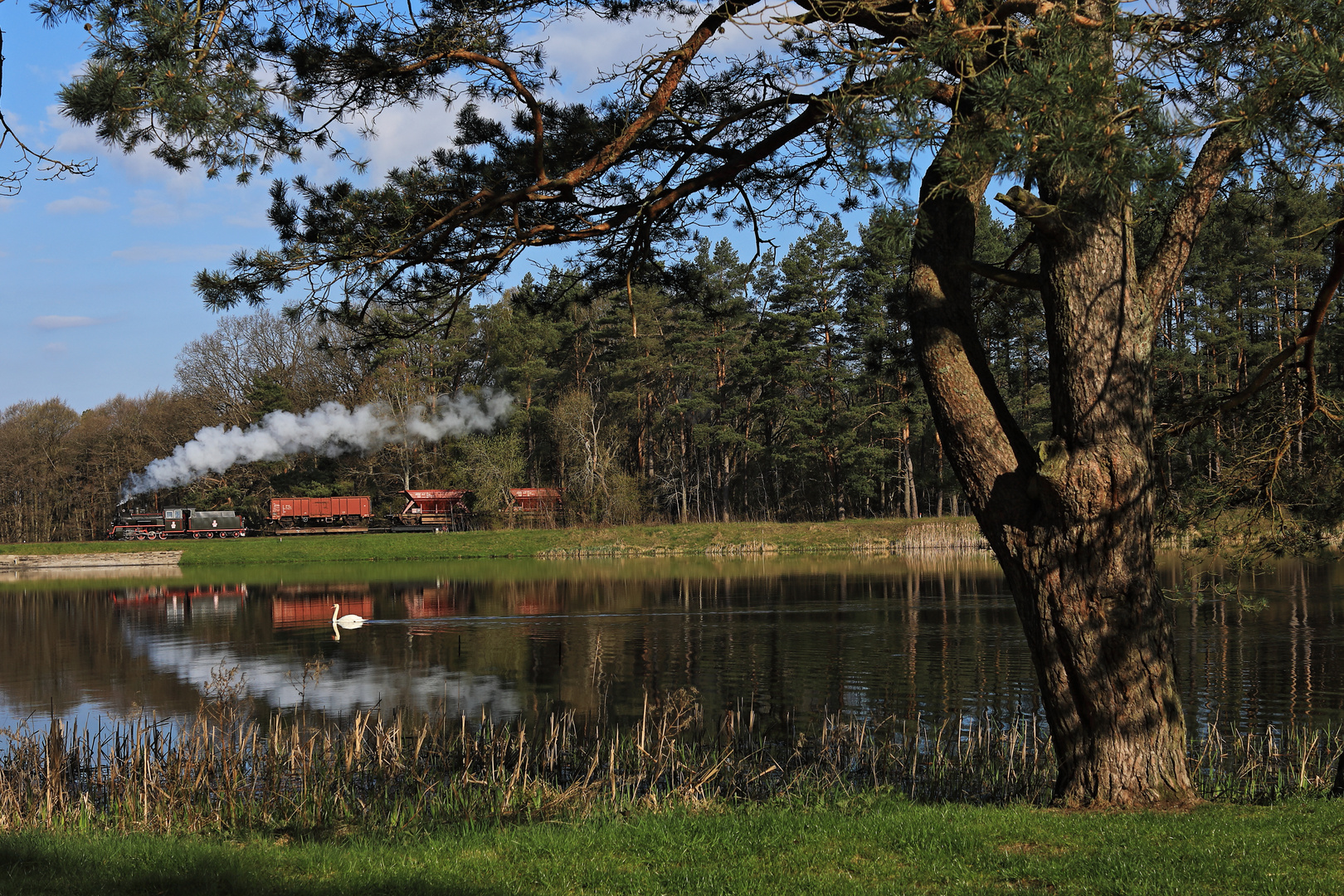 Frühling in Koszalin 03