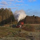 Frühling in Koszalin 07