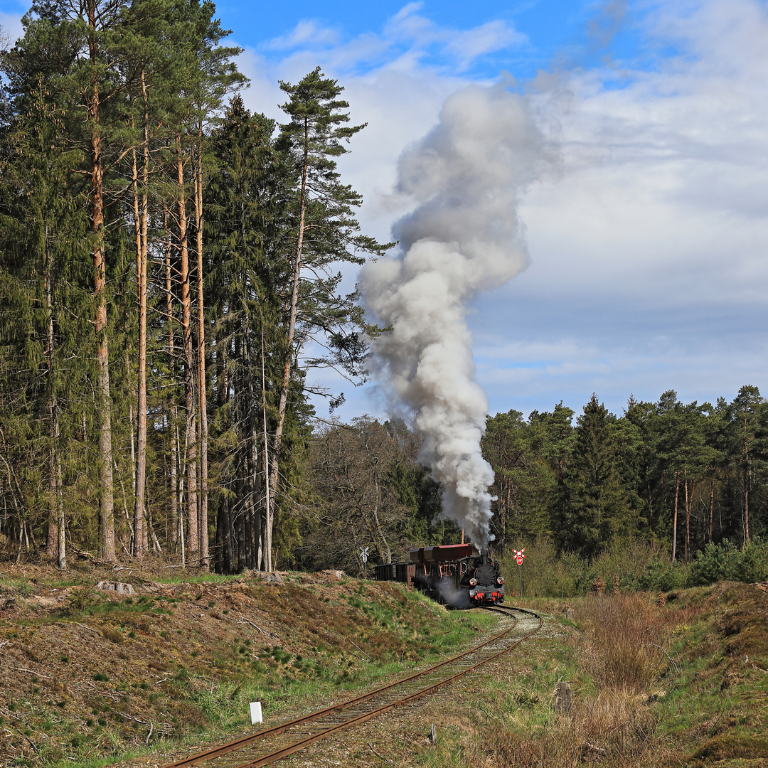 Frühling in Koszalin 08