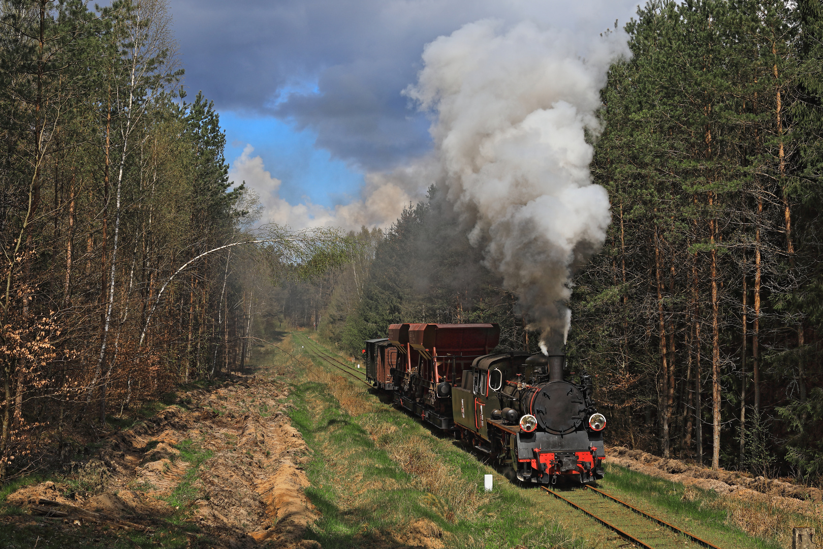 Frühling in Koszalin 16