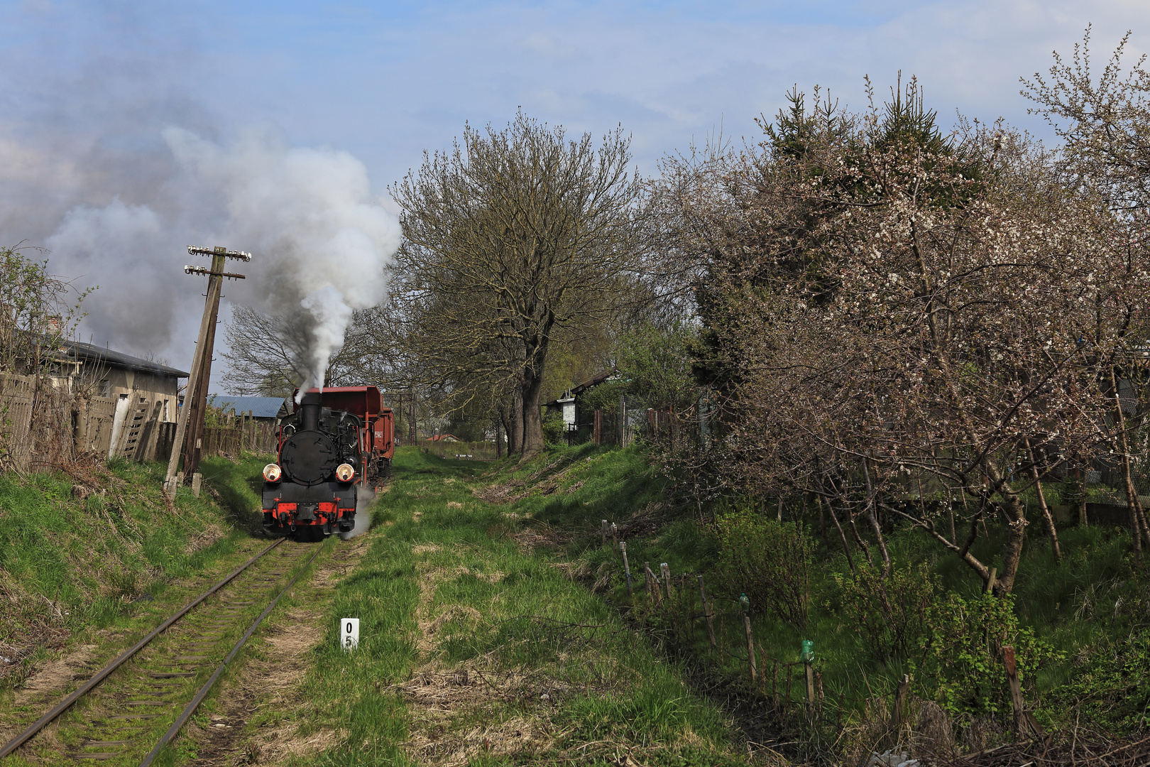 Frühling in Koszalin 17