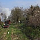 Frühling in Koszalin 17