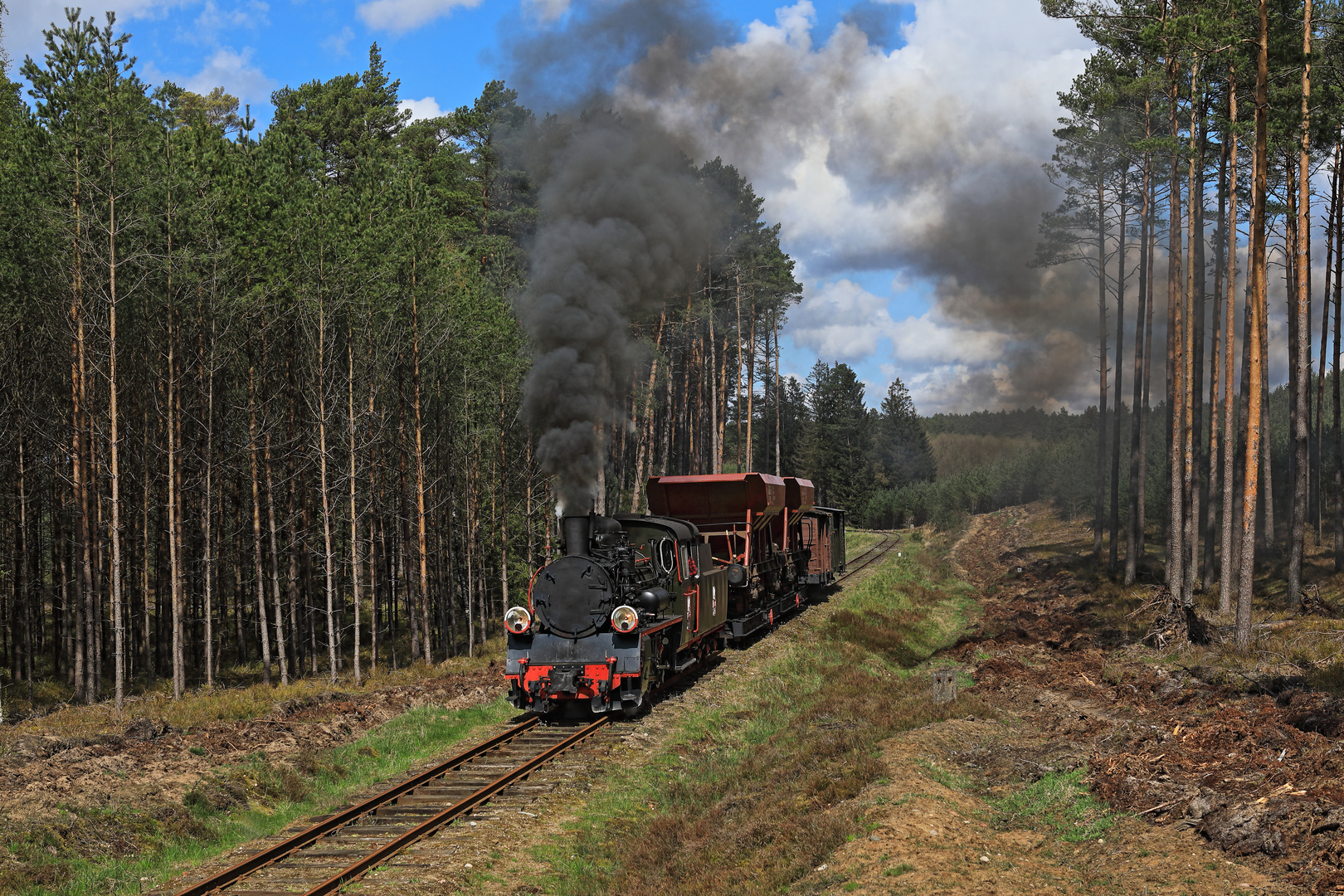 Frühling in Koszalin 18