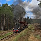 Frühling in Koszalin 18