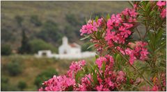 Frühling in Kreta ....