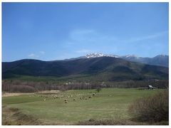 Frühling in Kroatien