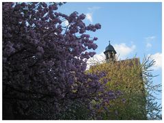 Frühling in Kronach