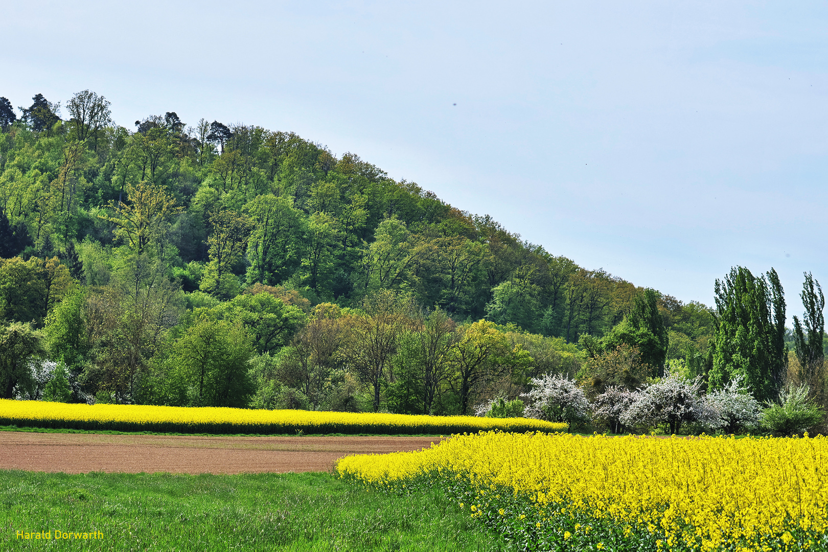 Frühling in Kürnbach