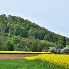 Frühling in Kürnbach