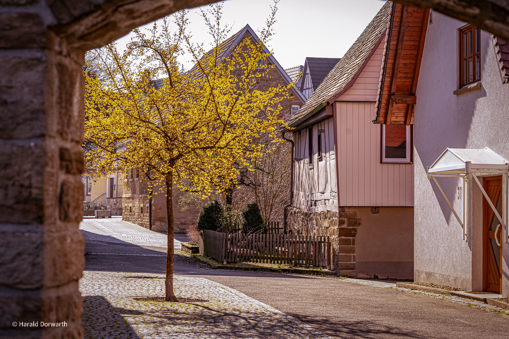 Frühling in Kürnbach