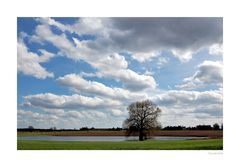 Frühling in Ladeburg 2010