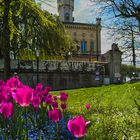 Frühling in Langenargen