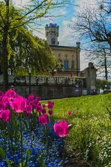 Frühling in Langenargen