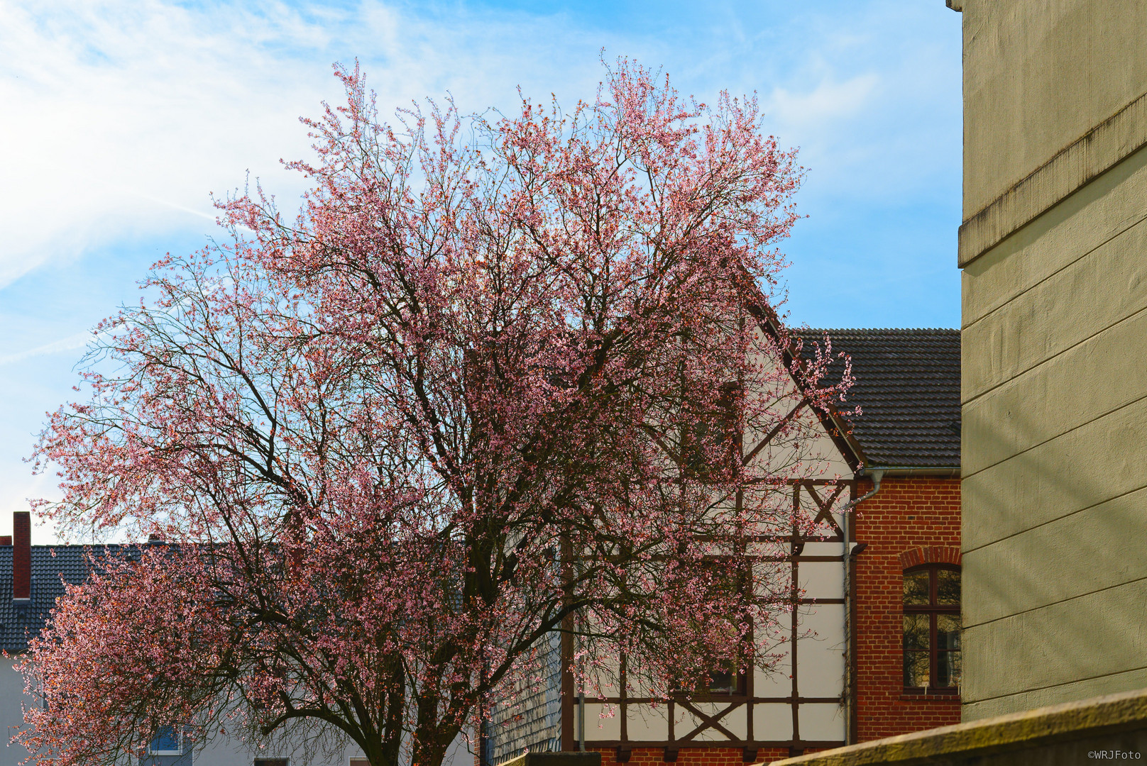 Frühling in Langendreer