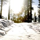 Frühling in Lappland