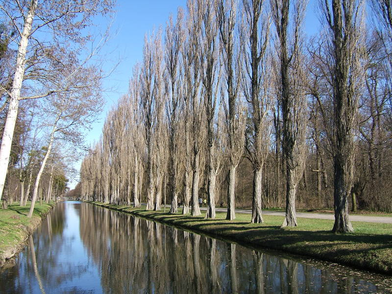 Frühling in Laxenburg